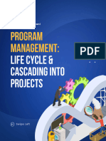 Program Management Lifecycle