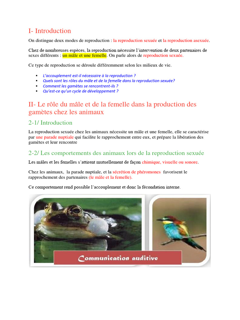 Modes de reproduction chez les animaux | PDF | Fécondation | Mâle