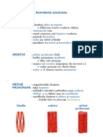 Biologie pohybová soustava