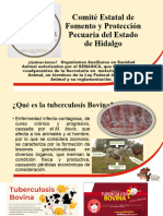 Prsentación para Comunidades_121950