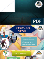 Marcha Senil Grupo 2