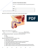 PL Rozmnožovacia Sústava Človek