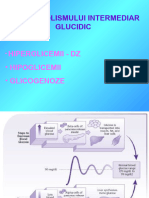 FP Metabolismului Glucidic-Dz - LC - 2023