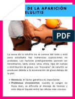 ¿Por Qué Aparece La Celulitis? PDF
