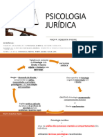 AULA PSICOLOGIA JURÍDICA pdf completo