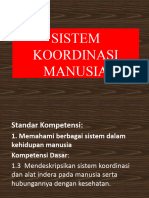 Sistem Koordinasi Pada Manusia