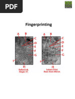 Student Exploration: Fingerprinting: Gizmo Warm-Up | PDF | Fingerprint ...