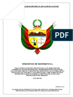 Tdr Mejoramiento Del Sevicio de Agua Potable Urbano Almirante Grau[Final]