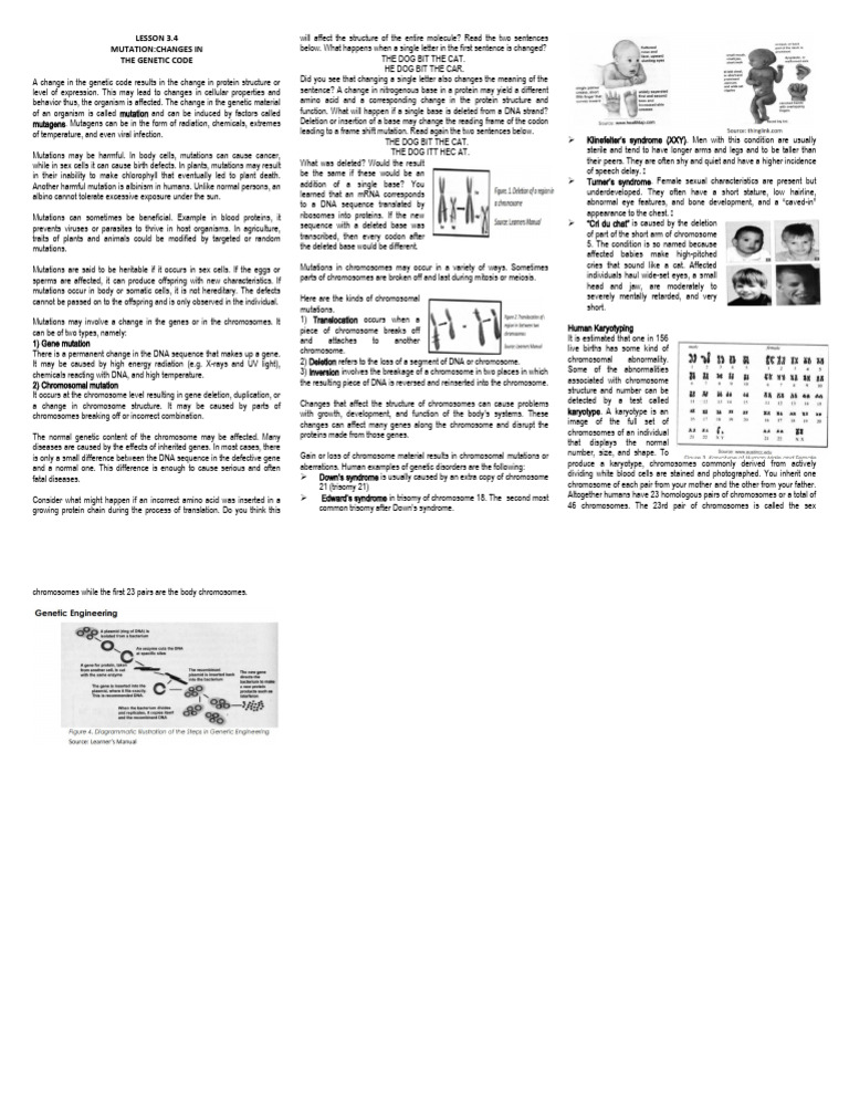 Understanding Genetic Mutations | PDF | Chromosome | Mutation