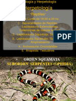 Herpetologia Clase EAN - 2 - 2020 - Serpientes