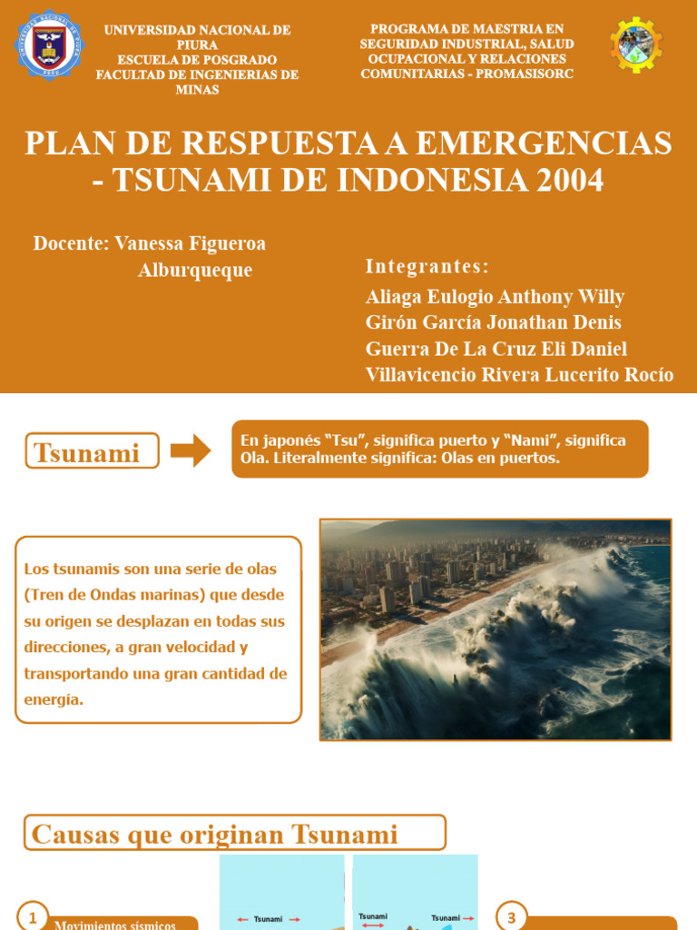 Plan de Emergencia Tsunami 2004 | PDF | Tsunami | Gestión de riesgos