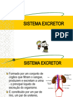 apres_sistema_excretor_