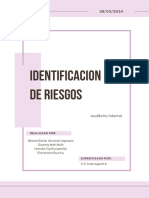 Identificacion de Riesgos (Cuestionario:diagramas Procesos:ciclos Transacciones)