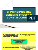 3 - Principios Del DPC