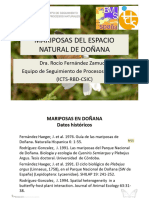 03 4 Mariposas Espacio Natural Donana - tcm30 502742