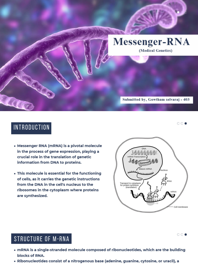 Understanding Messenger RNA (mRNA) | PDF | Messenger Rna | Rna