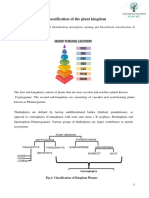 1.Classification of the plant kingdom (1)