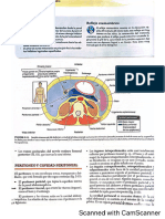 Libro Moore Anatomia Orientacion Clinica