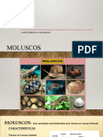 MOLUSCOS