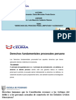 PPT EXPOSICION DERECHOS DEL PROCESO PENAL