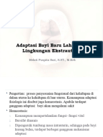 Adaptasi BBL Pada Lingkungan Ekstrauterin