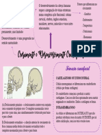 Crescimento e Desenvolvimento Craniofacial