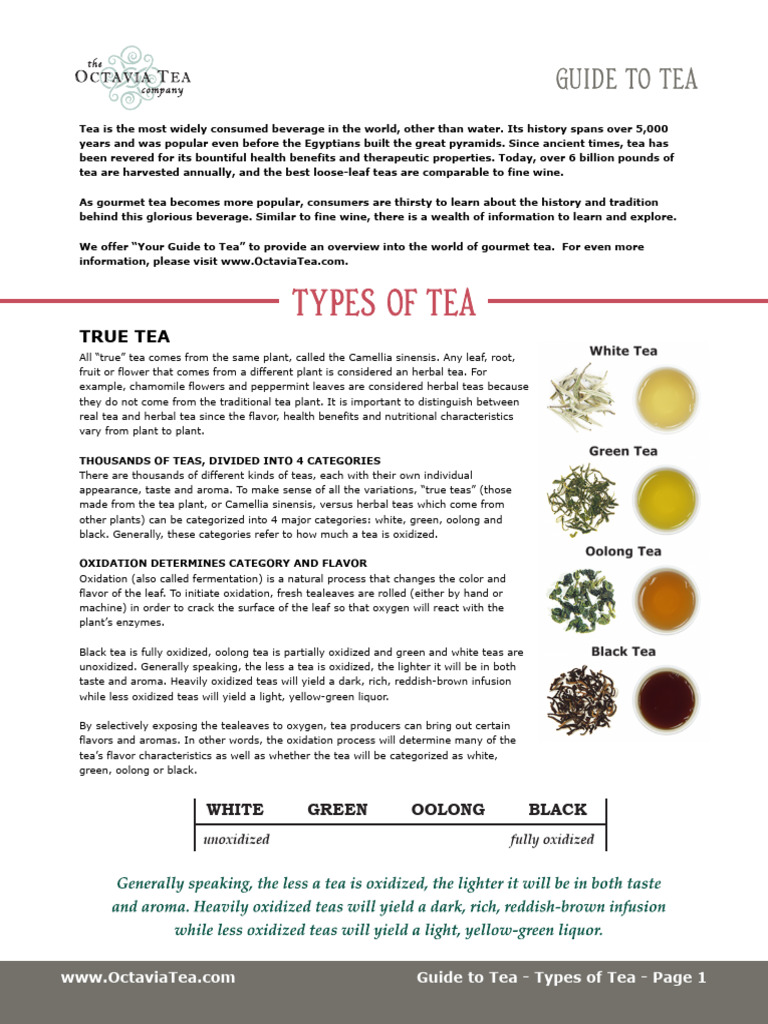 Your Guide to Gourmet Tea Types | PDF | Caffeine | Tea