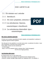 Bases Anatomicas y Fisiologicas