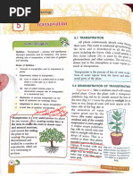 Potometer Practical for GCSE Biology | PDF | Botany | Plants