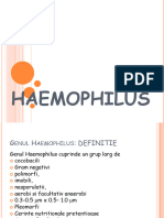 8. HAEMOPHILUS BORDETELLA BRUCELLA