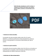 nucleoplasma