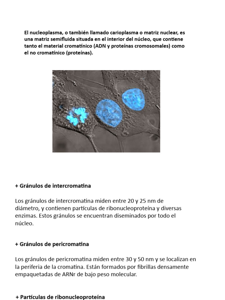 Nucleoplasma | PDF