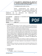 04. INFORME DE SITUACION ACTUAL