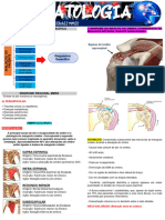 SDR - MMSS Reumatologia