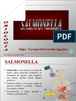Cap 9 Salmonella 2011