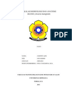 Morfologi Dan Anatomi Akasia Mangium (Acacia Mangium)