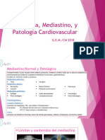 004 Pleura Mediastino y Cardiovascular ERA 2
