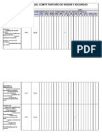 Programa Comite Paritario