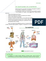 Dossier CCNN 3r ESPA 040