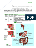 Dossier CCNN 3r ESPA 042