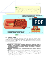 Dossier CCNN 3r ESPA 044