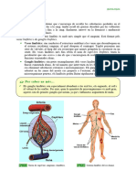 Dossier CCNN 3r ESPA 056