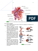 Dossier CCNN 3r ESPA 053