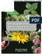 PlantasMedicinaisNatExoticas