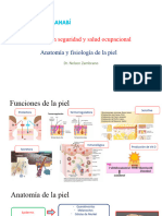 Anatomia y Fisiologia de La Piel, Maestria