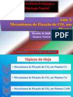 Aula 4. Mecanismos de Fixacao de CO2 em Plantas