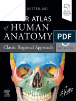 (Netter) Atlas of Human Anatomy. 8° (2023) - 1