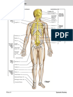 (Netter) Atlas of Human Anatomy. 8° (2023) - 2