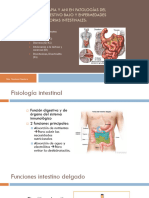 Dietoterapia Patolog As Del Tubo Digestivo Bajo EII SIC