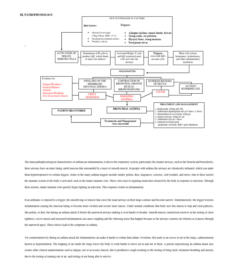 Bronchial asthma pathophysiology pdf asthma respiratory tract